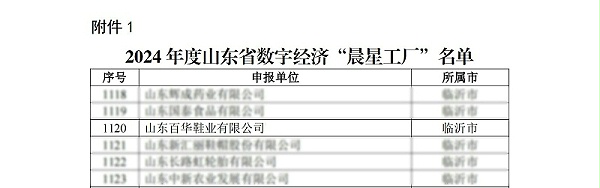 关于公布2024年度山东省数字经济“晨星工厂”名单的通知_02