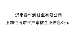 沂南县华润鞋业有限公司 强制性清洁生产审核企业信息公示